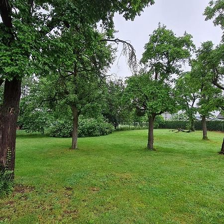 Eifelhof Mit Obstbaumwiese Nideggen Eksteriør billede