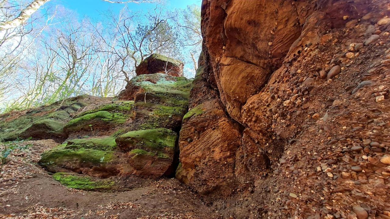 Eifelhof Mit Obstbaumwiese Nideggen Eksteriør billede